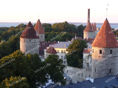 Stadtmauer in Tallin