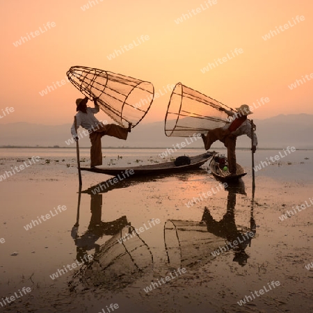 Fishermen at sunrise in the Landscape on the Inle Lake in the Shan State in the east of Myanmar in Southeastasia.