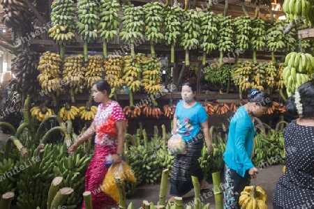 a big Banana Shop in a Market near the City of Yangon in Myanmar in Southeastasia.