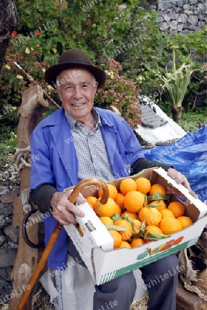 A Farmer in the  mountain Village of  Tejeda in the centre of the Canary Island of Spain in the Atlantic ocean.