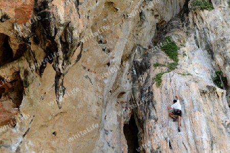 a Climber at the rocks of the Hat Phra Nang Beach at Railay near Ao Nang outside of the City of Krabi on the Andaman Sea in the south of Thailand. 