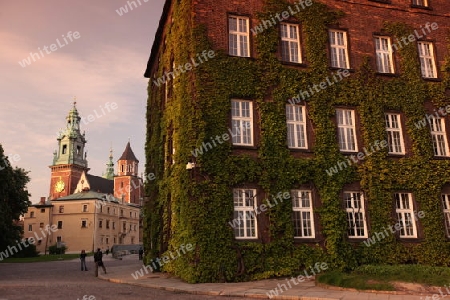 Das Koenigsschloss auf dem Huegel Wawel in der Altstadt von Krakau im sueden von Polen. 