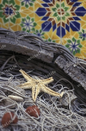 Afrika, Tunesien, MahdiaEin Fischernetz mit einem Seestern in einem traditionellen Haus in der Kuestenstadt Mahdia in Central Tunesien. 