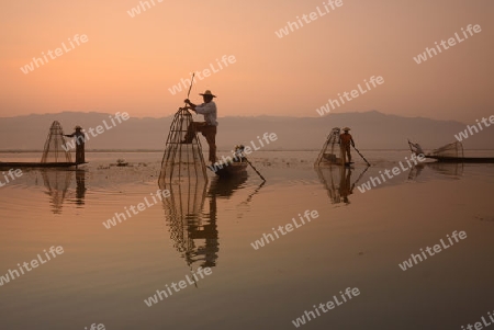 Fishermen at sunrise in the Landscape on the Inle Lake in the Shan State in the east of Myanmar in Southeastasia.