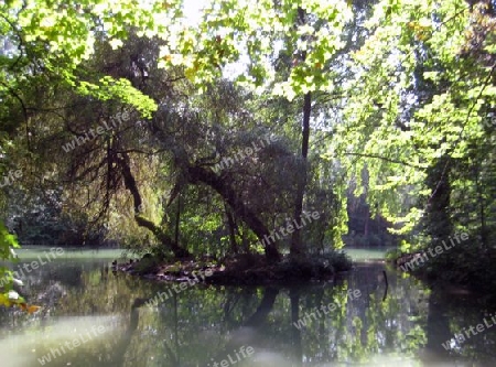 Englischer Garten M?nchen