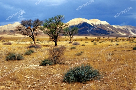 Namibia, Im Khomas-Hochland