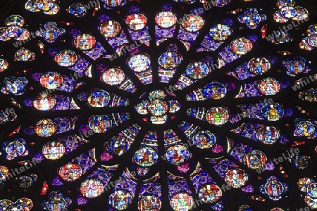 Paris - rosette von Notre Dame Kathedrale