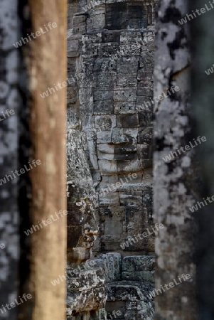 Stone Faces the Tempel Ruin of Angkor Thom in the Temple City of Angkor near the City of Siem Riep in the west of Cambodia.