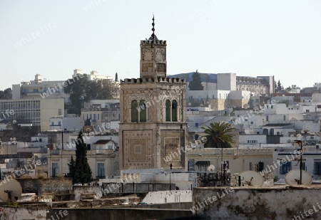 Eine Moschee  im Souq oder Bazzar in der Altstadt  von Tunis am Mittelmeer in Tunesien in Nordafrika..