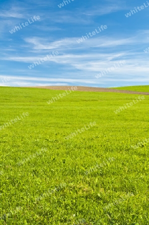 Wiese mit Acker bei blauem Himmel mit Schleierwolken