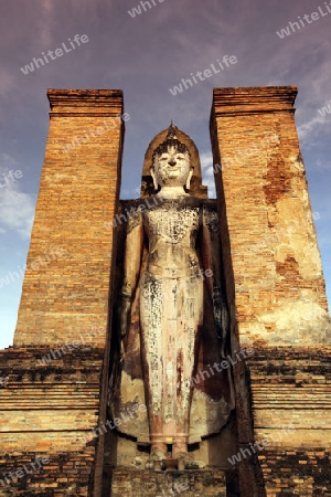 Eine stehende Buddha Figur  im Wat Mahathat Tempel in der Tempelanlage von Alt-Sukhothai in der Provinz Sukhothai im Norden von Thailand in Suedostasien.