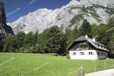 Watzmann Ostwand von St. Bertholom?