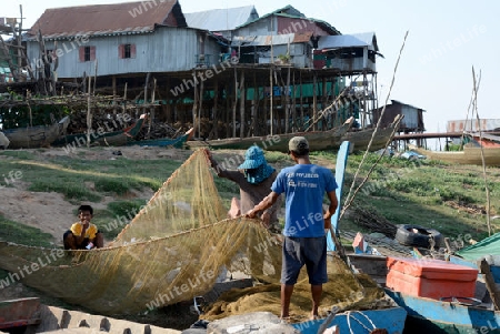 The Lake Village Kompong Pluk at the Lake Tonle Sap near the City of Siem Riep in the west of Cambodia.