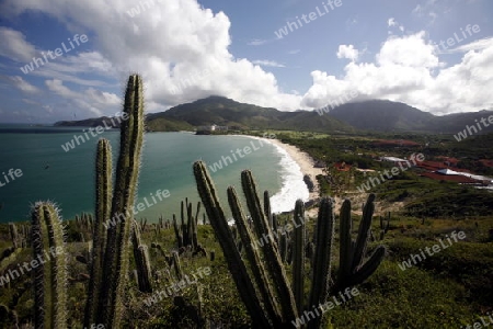 Suedamerika, Karibik, Venezuela, Isla Margarita, Pedro Gonzalez, Playa, Beach, Strand, Bucht, Ferien, Traumstrand, Idylle, Landschaft, Kaktus, Kueste