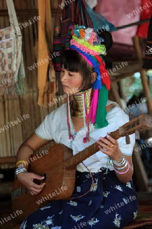 Eine Traditionell gekleidete Langhals Frau eines Paudang Stammes aus Burma lebt in einem Dorf noerdlich von Chiang Mai in Nord Thailand. 