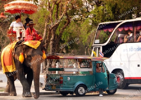 Ein Elephanten Taxi vor einem der vielen Tempel in der Tempelstadt Ayutthaya noerdlich von Bangkok in Thailand.  