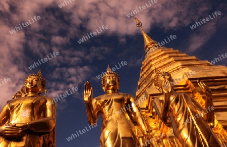 Der Chedi der Tempel Anlage des Wat Phra That Doi Suthep bei Chiang Mai in der Provinz Chiang Mai im Norden von Thailand in Suedostasien.