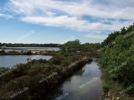 Wasserlandschaft am Golfe von Morbihan