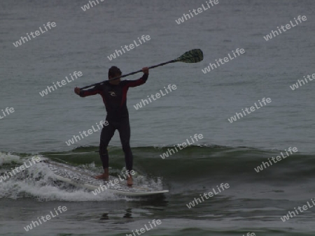 Stehpaddler am Meer