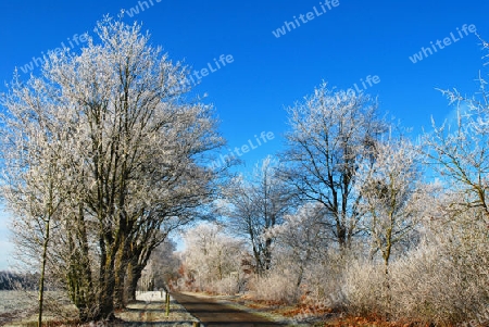 Winterlicher Morgen