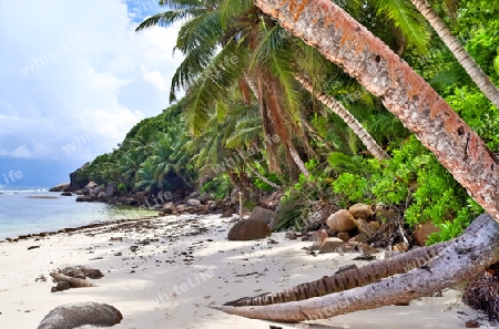 Sunny day beach view on the paradise islands Seychelles.