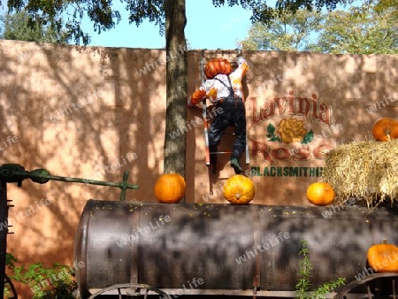 Disneyland Paris Halloween 2008 Pumpkinman