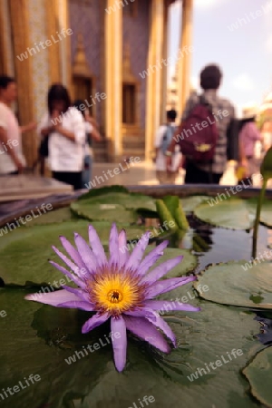 Die Tempelanlage des Wat Phra Kaew in Banglamphu in Bangkok der Hauptstadt von Thailand in Suedostasien.  