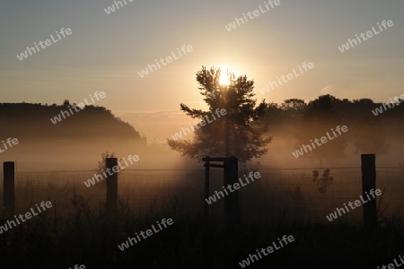 Nebel und Sonnenaufgang