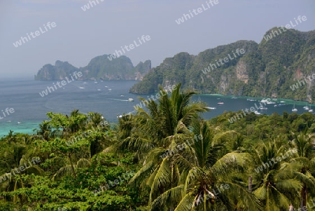 The view from the Viewpoint on the Town of Ko PhiPhi on Ko Phi Phi Island outside of the City of Krabi on the Andaman Sea in the south of Thailand. 