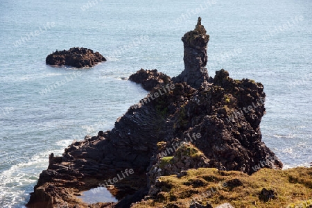 Der Westen Islands, die Klippen der Steilk?ste von Arnastapi auf der S?dseite der Halbinsel Sn?fellsnes