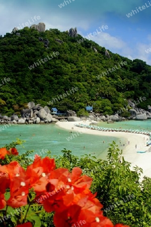 Insel Koh Tao