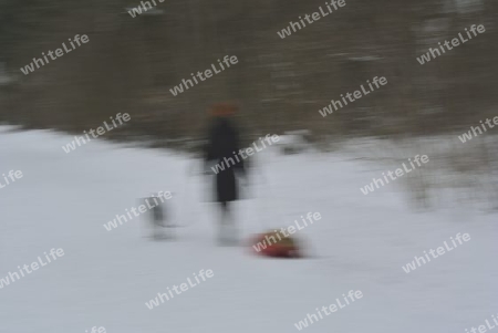 Frau mit Schlitten und Hund