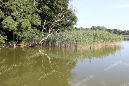 Stille Natur, Masurische Seenplatte