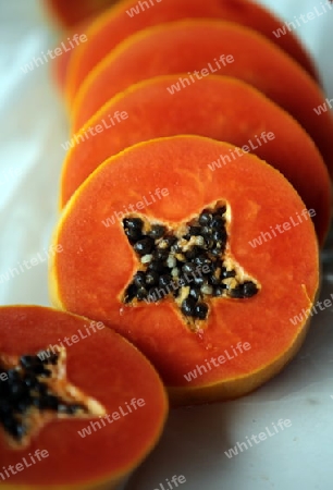 Papaya Frucht auf der Insel Ko Tao im Golf von Thailand im Suedwesten von Thailand in Suedostasien. 