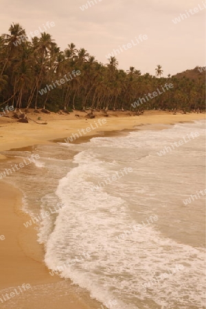 Amerika, Suedamerika, Venezuela, Karibik, Choroni Der Traumstrand Playa Grande von Choroni im Nationalpark Henri Pittier im zentralen norden von Venezuela.  