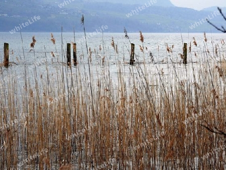 at Lake