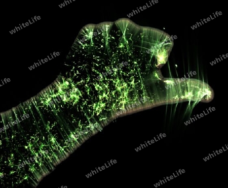 3D-Illustration of a glowing human male hand with a kirlian aura showing different symbols.