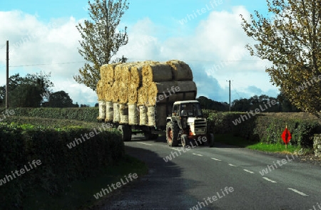 Mit Stroh beladener Traktor