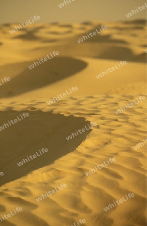 Die Sahara Wueste bei Douz im zentralen sueden in Tunesien in Nordafrika.