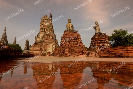 The Wat Chai Wattanaram Temple in City of Ayutthaya in the north of Bangkok in Thailand, Southeastasia.