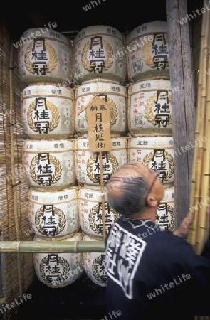 one of the big Festival in the Asakusa Senso Ji Tempel in the city centre of Tokyo in Japan in Asia,



