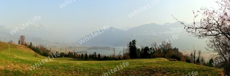 Panorama  Steinerberg Richtung Lauerzersee