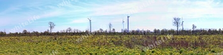 Beautiful high resolution panorama of a northern european country landscape with fields and green grass.