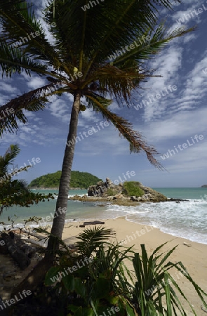 Ein Strand in Hat Nai Harn im sueden der Insel Phuket im sueden von Thailand in Suedostasien.