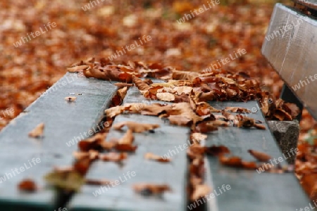 Herbst auf der Bank