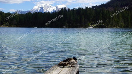 Hintersee.03