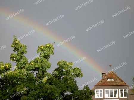 Regenbogen