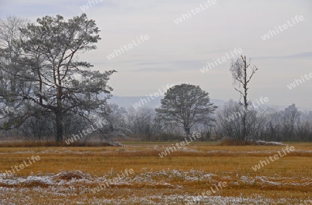 Moorlandschaft