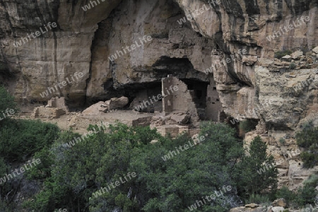 "Oak Tree House"   der indianischen Ureinwohner, ca. 800 Jahre alt, Mesa Verda NP, UNESCO Weltkulturerbe, Colorado, USA