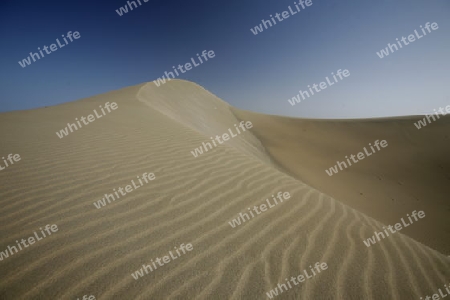 the Sanddunes at the Playa des Ingles in town of Maspalomas on the Canary Island of Spain in the Atlantic ocean.